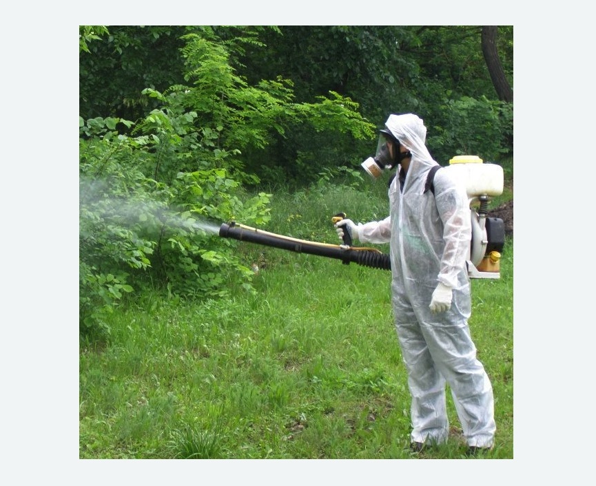 обработка территории от клещей Баррикадная метро Москвы