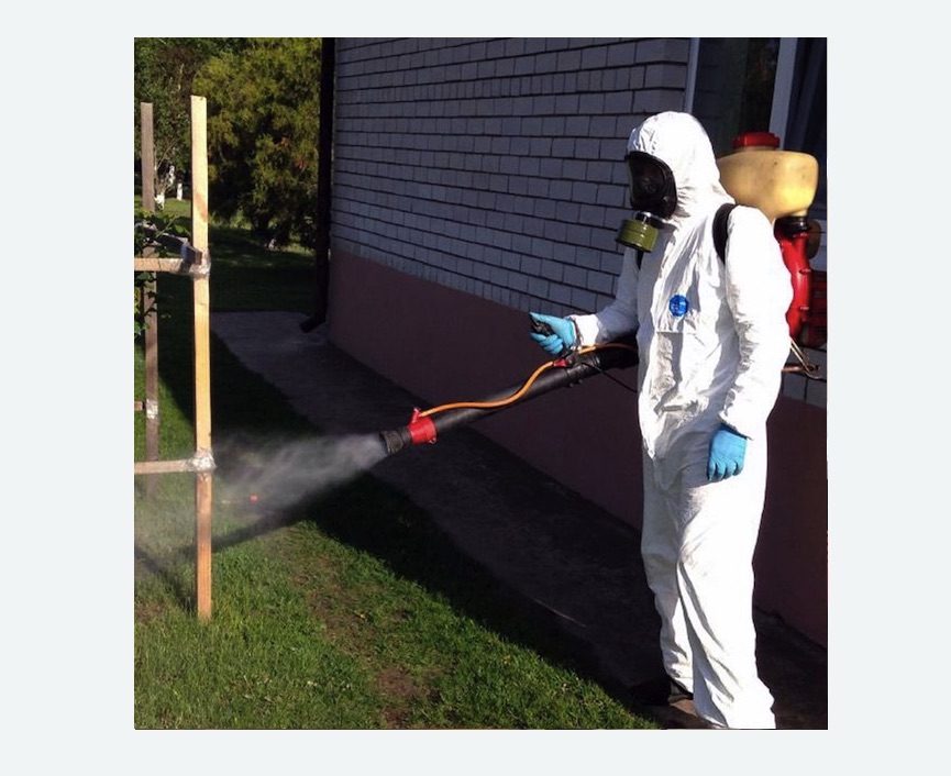 травля клещей на участке Баррикадная метро Москвы