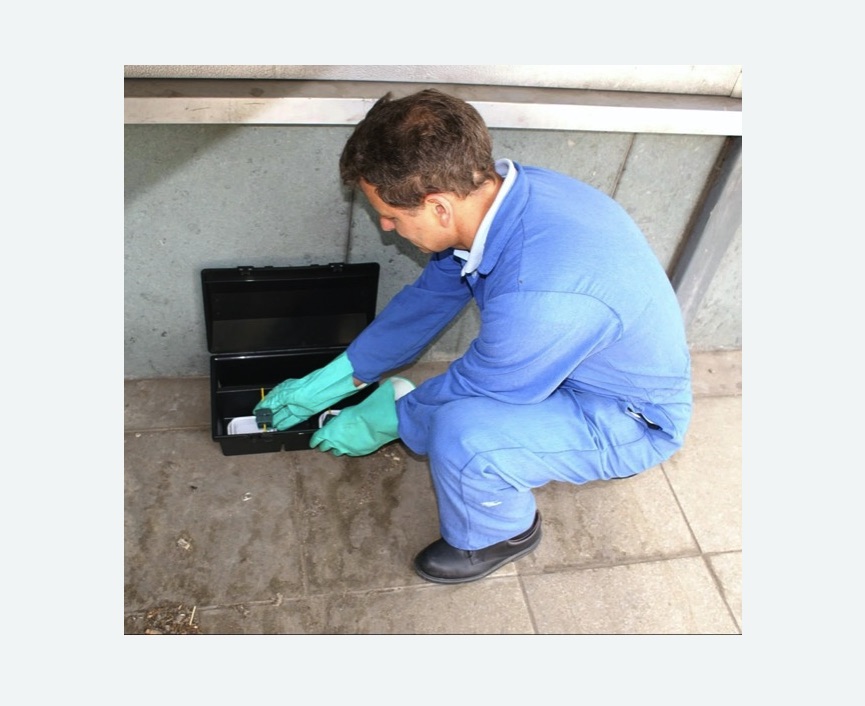 Дератизация помещения Баррикадная метро Москвы Дератизация помещения