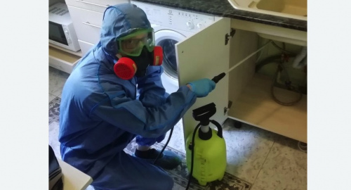 Уничтожение муравьев в квартире. Баррикадная