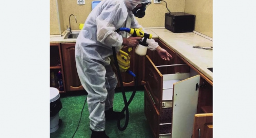 Уничтожение насекомых в квартире. Баррикадная