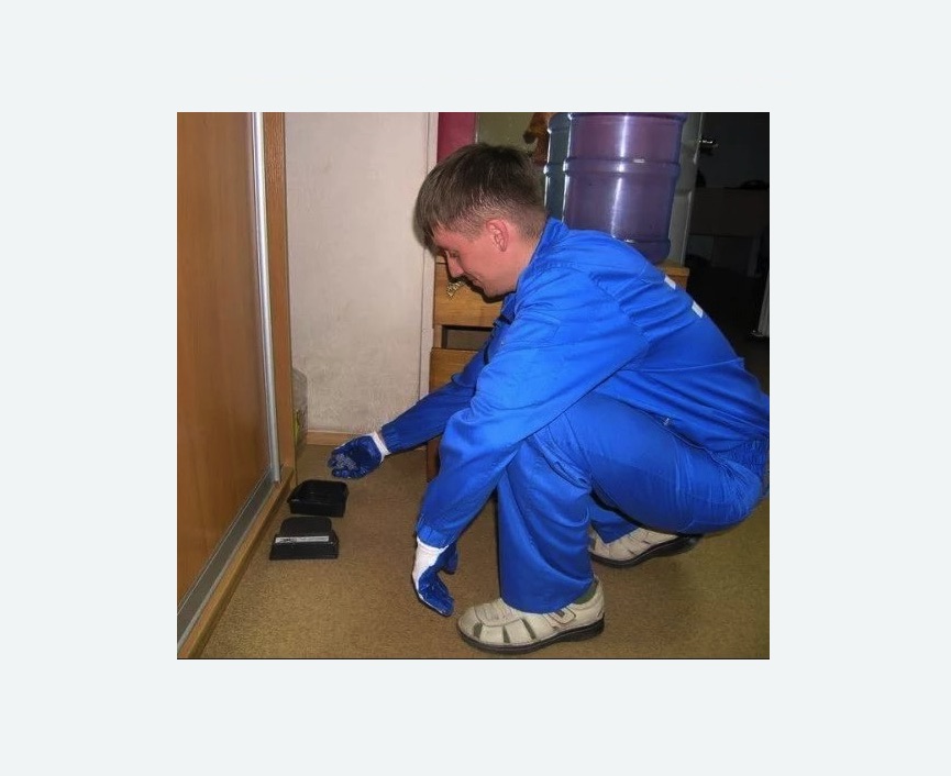 Дератизация крыс Баррикадная метро Москвы