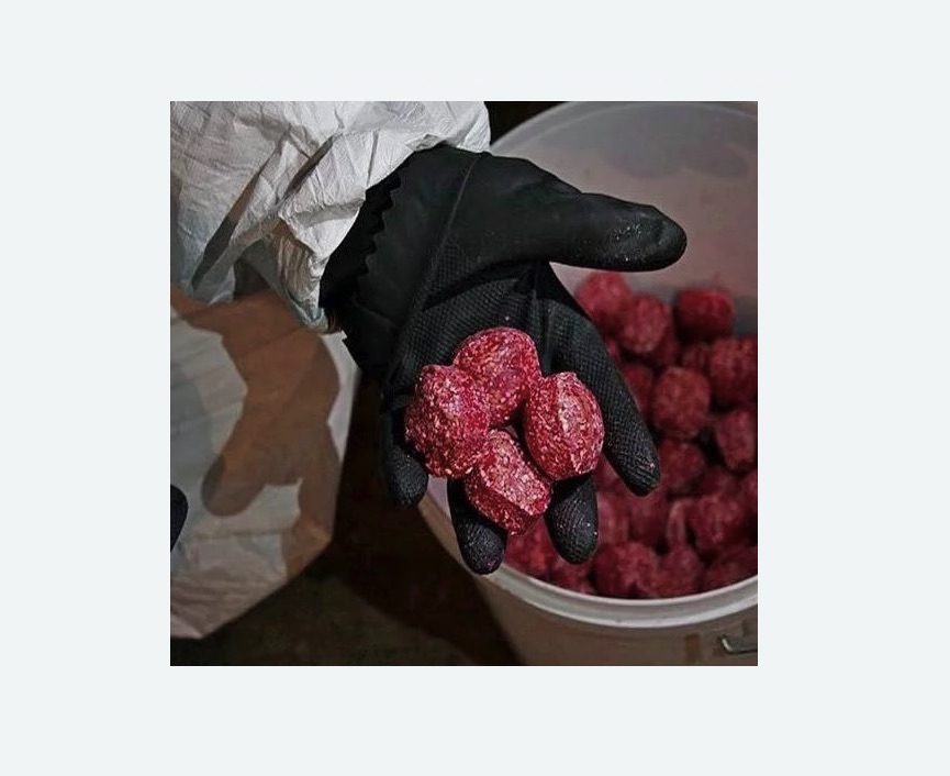 Обработка от крыс Баррикадная метро Москвы