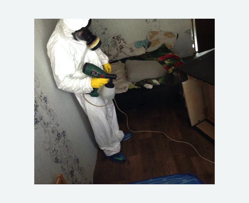 Обработка от насекомых Баррикадная метро Москвы Обработка квартиры от насекомых