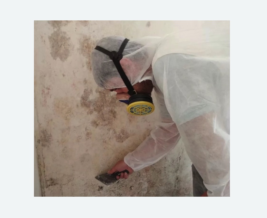 Обработка стен от плесени Обработка стен от плесени Баррикадная метро Москвы