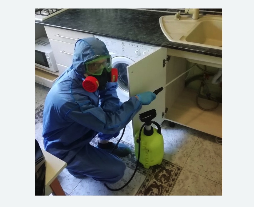 обработка от муравьев в квартире обработка от муравьев в квартире Баррикадная метро Москвы