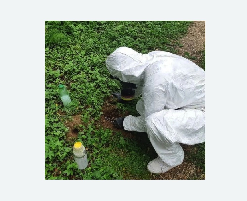 уничтожение кротов на участке Баррикадная метро Москвы