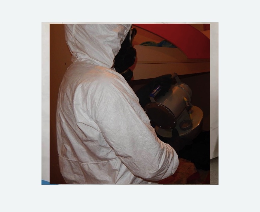 Дезинфекция от муравьев Дезинфекция от муравьев Баррикадная метро Москвы