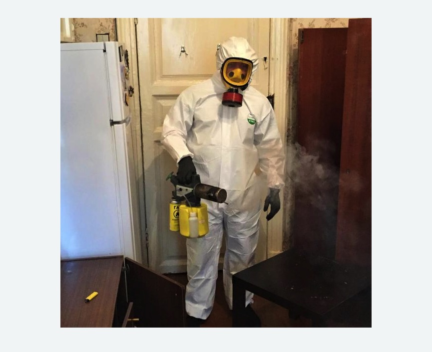 уничтожение муравьев в квартире уничтожение муравьев в квартире Баррикадная метро Москвы